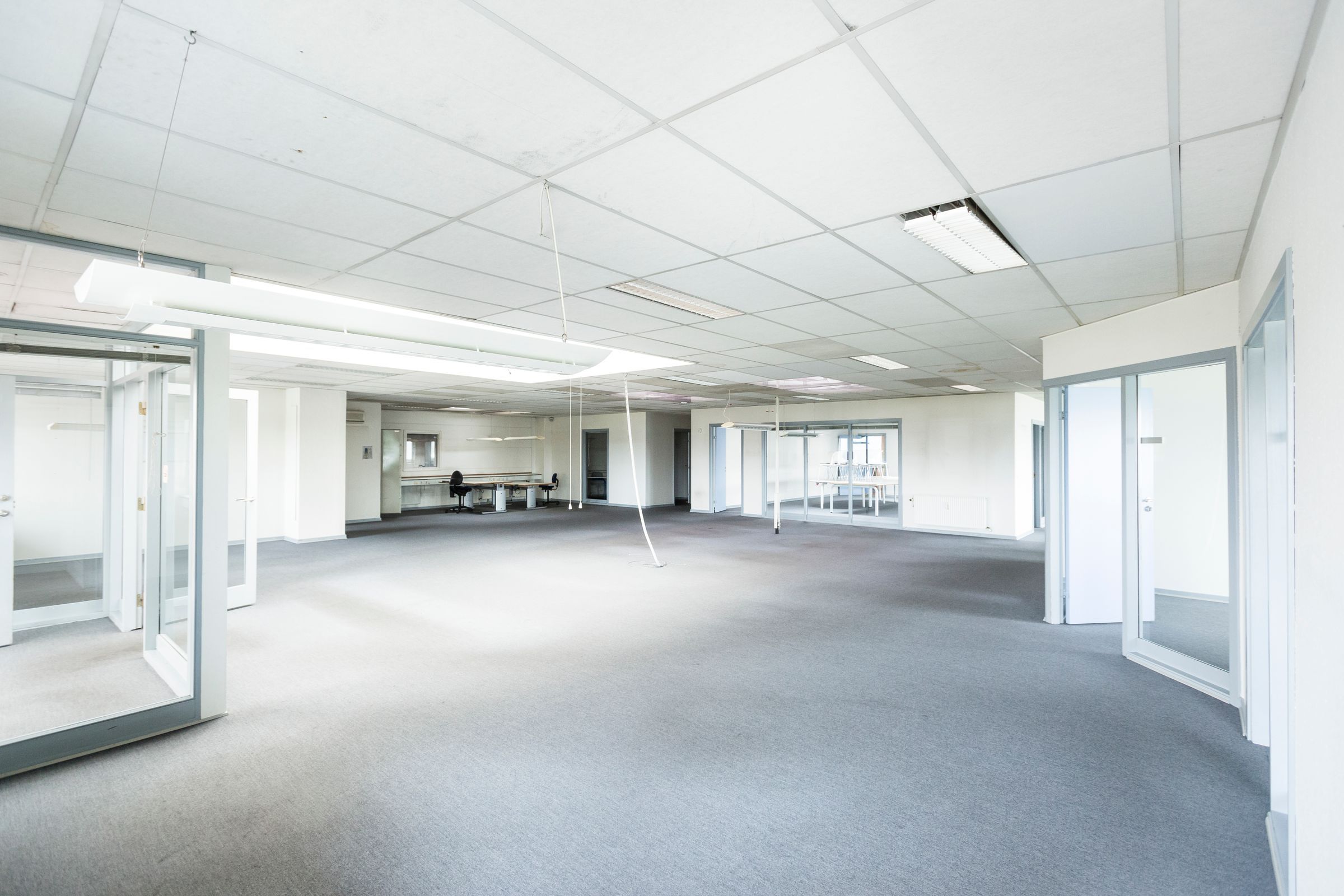 Open space vide avec plafond suspendu à trame et cloisons vitrées