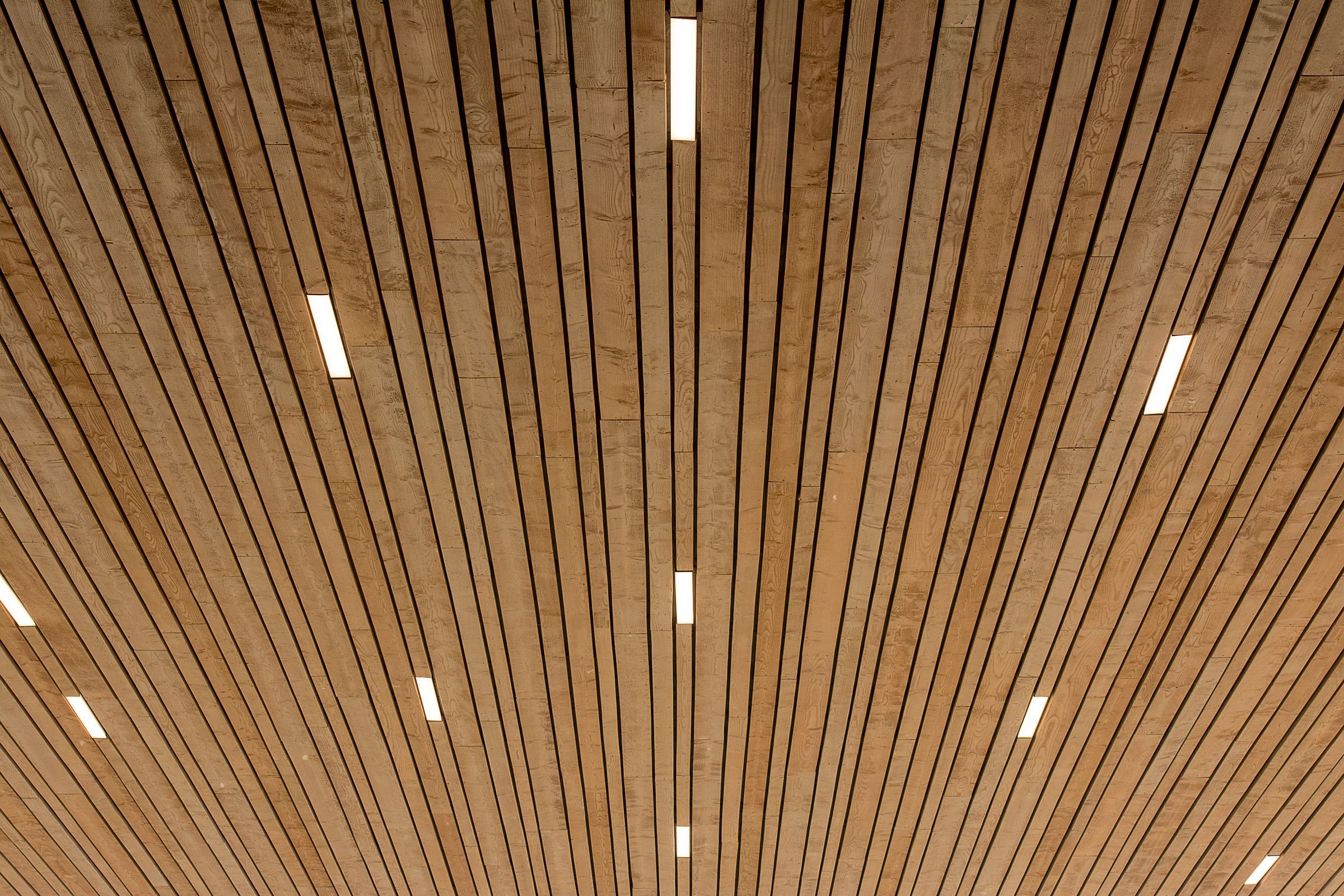 Plafond suspendu à lames de bois et luminaires linéaires intégrés