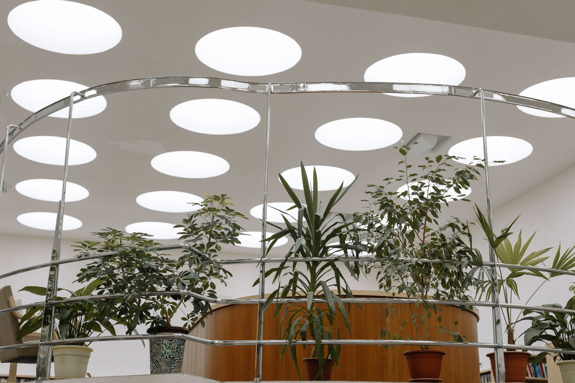Plafond suspendu percé d’oculus lumineux au-dessus de plantes d’intérieur